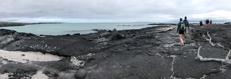 Fernandina Island panorama