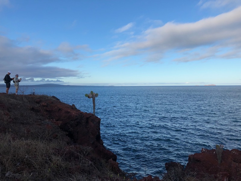 Rabida Island Cliff