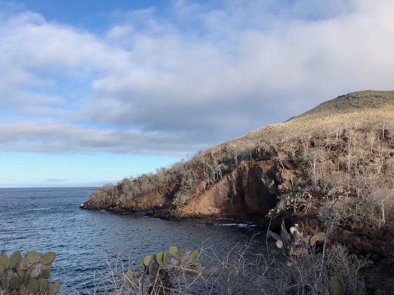 Rabida Island coastline