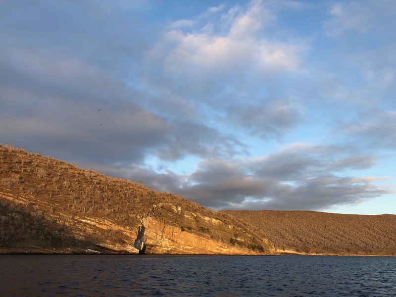 Tagus Cove shoreline