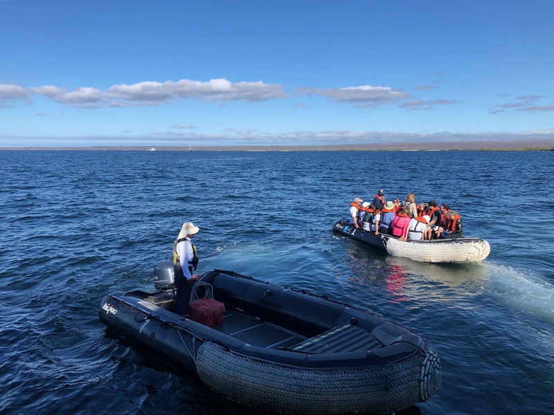 Zodiac boats